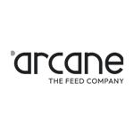 arcane (3)
